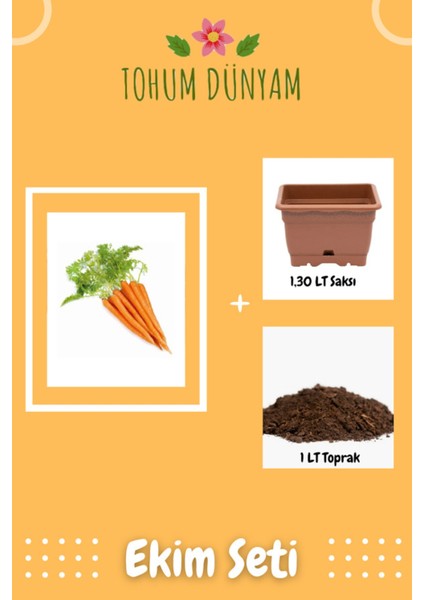 Havuç Tohumu Ekim Seti