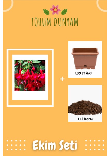 Karışık Küpeli Çiçeği Tohumu Ekim Seti