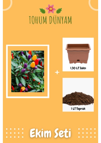 Tatlı Süs Biberi Tohumu Ekim Seti