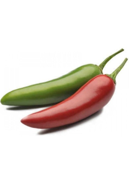 Eko Paket 50 Adet Tohum Nadir Ithal Acı Jalapeno Meksika Biberi Tohumu