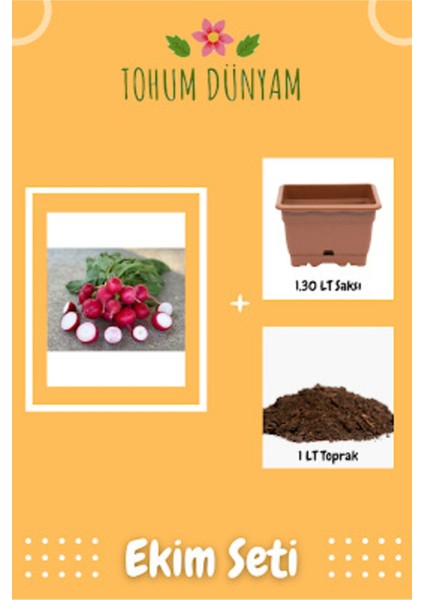 Fındık Turp Tohumu Ekim Seti