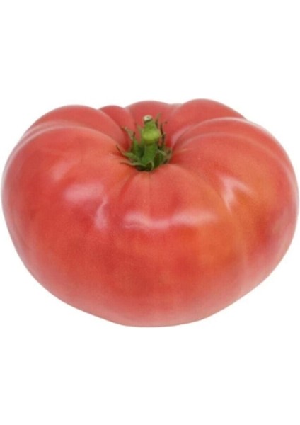 Meşhur Ankara Ayaş Domates Tohumu 10 Adet Tohum Ayaş Domatesi Tohumu
