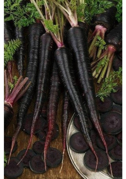 20 Adet Black Nebula Havuç Tohumu