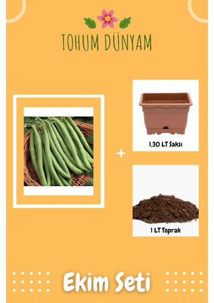 Atlantis Oturak Fasulye Tohumu Ekim Seti