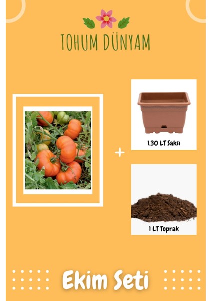 Yerli Doğal Köy Domatesi Tohumu Ekim Seti