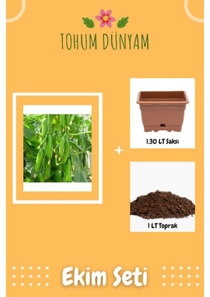 Silor Badem Sırık Hıyar Tohumu Ekim Seti