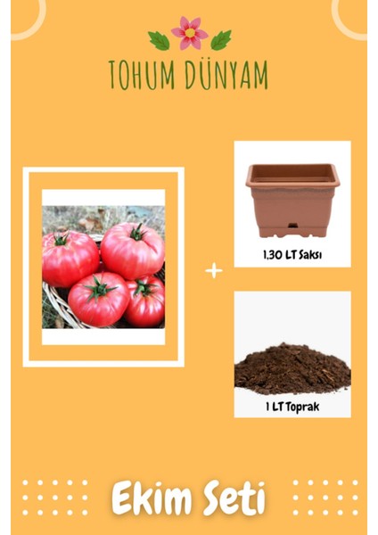 Yerli Dilimli Pembe Köy Domatesi Tohumu Ekim Seti