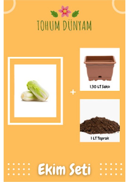 Çin Lahanası Tohumu Ekim Seti