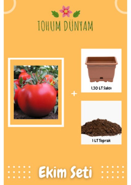 Yerli Sofralık Domates Tohumu Ekim Seti