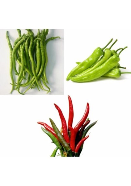 3 Çeşit Acı Kıl Biber Çarliston Biber ve Süs Biberi Tohumları