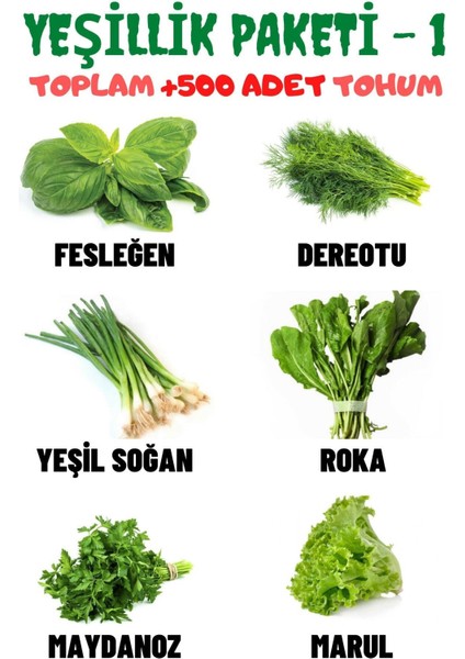 Yeşillik Paketi-1 Fesleğen, Dereotu, Soğan, Roka, Maydanoz, Marul Tohum Seti, Toplam +500 Adet Tohum