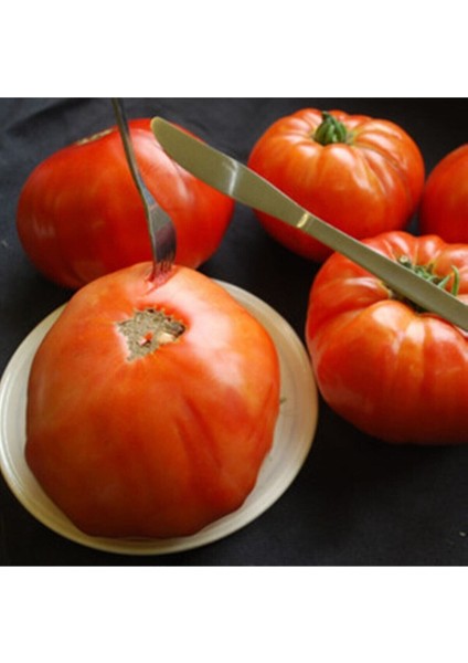 Couilles De Taureau Domates Tohumu