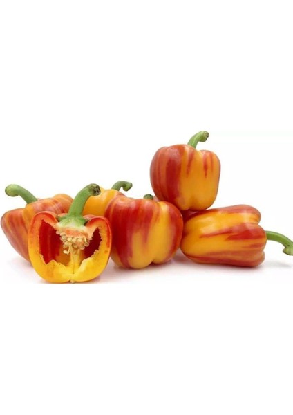 Mozaik Dolmalık Biber Tohumu