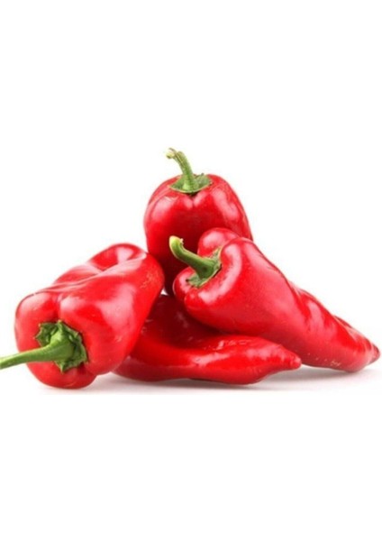 Közlemelik Kırmızı Biber Tohumu Tatlı Biber Tohumu 40 Tohum