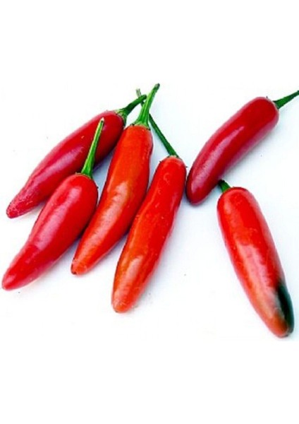 10 Adet Serrano Acı Biber Tohumu