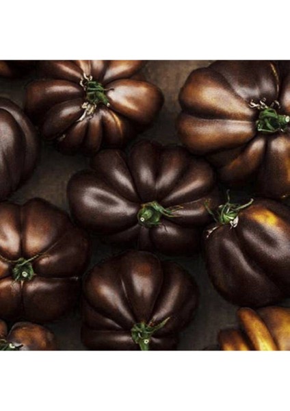 Belçika Çikolata Domatesi Tohumu