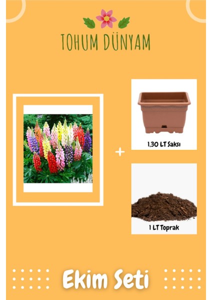 Acı Bakla (Lupin) Tohumu Ekim Seti