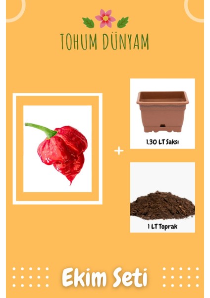 Ithal Nadir Çok Acı Trinidat Scorpion Biber Tohumu Ekim Seti