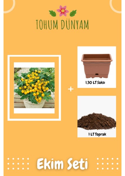 Saksılık Sarı Kiraz Domates Tohumu Ekim Seti