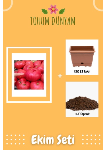 Pembe Dev Bulgar Domatesi Tohumu Ekim Seti