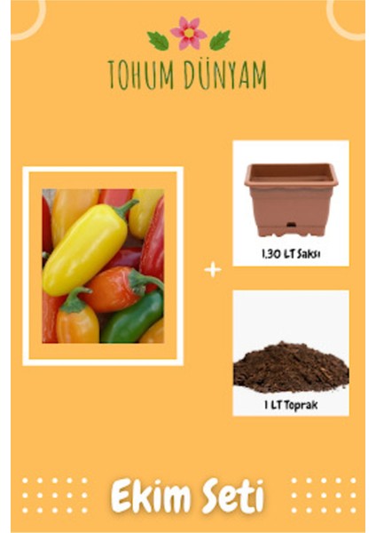 Jalapeno Renkli Biber Tohumu Ekim Seti