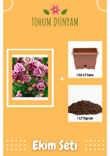 Katmerli Haseki Küpesi Çiçeği Tohumu Ekim Seti