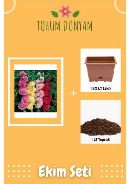 Karışık Renkli Gül Hatmi Çiçeği Tohumu Ekim Seti