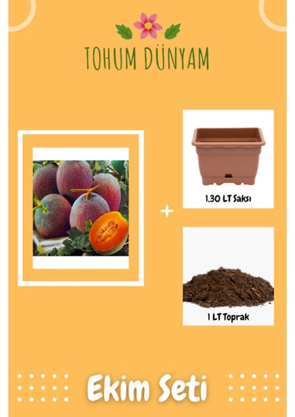 Atalık Turuncu Kavun Tohumu Ekim Seti