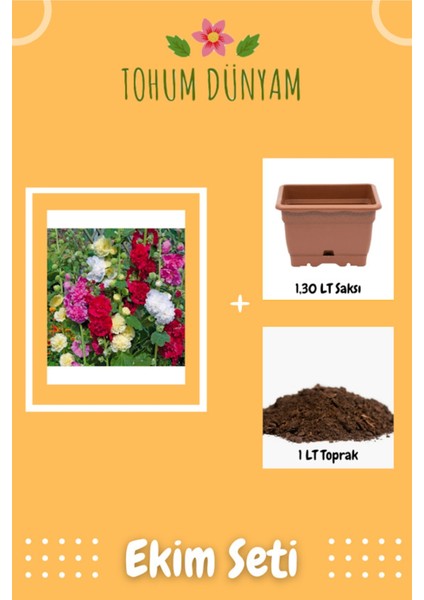 Karışık Renkli Katmerli Gül Hatmi Çiçeği Tohumu Ekim Seti