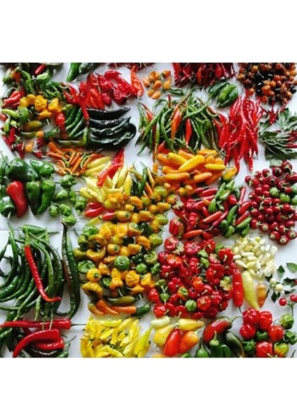 100 Adet 50 Çeşit Acı Biber Tohumu
