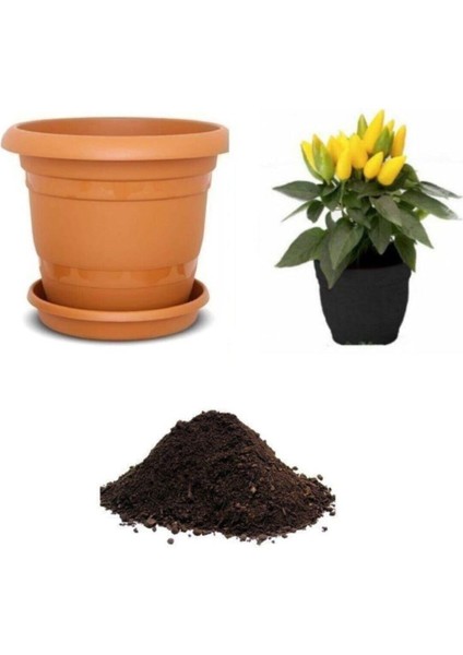 Acı Yayla Biberi Tohumu Ekim Seti