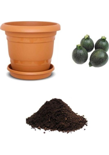 Nadir Dolmalık Yeşil Kabak Tohumu Ekim Seti