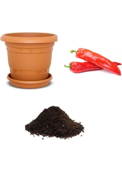 Meşhur Acı Samandağ Biberi Tohumu Ekim Seti