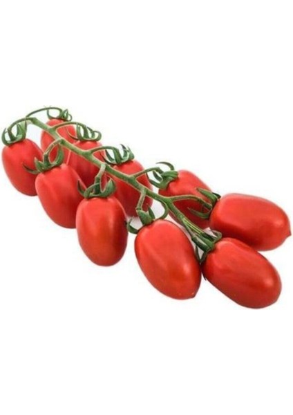 Kurutmalık Salçalık Bursa Domatesi Tohumu 50 Adet Bursa Domates Tohumu