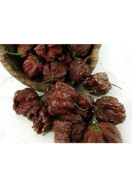 Seven Pot Choclate Acı Biber Tohumu 10 Adet