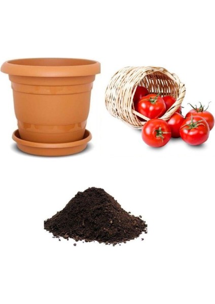 Nuran Domates Tohumu Ekim Seti