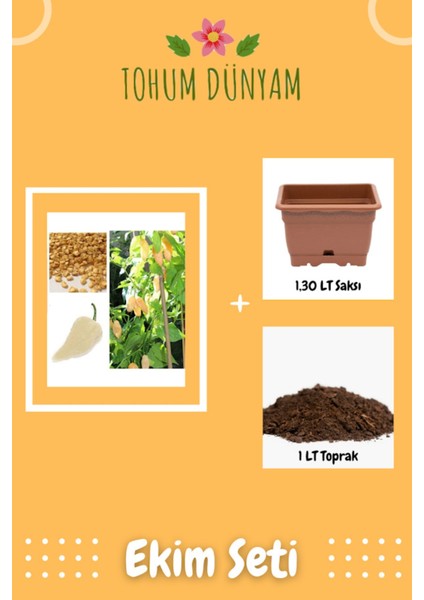 Beyaz Bhut Jolokia Biber Tohumu Ekim Seti