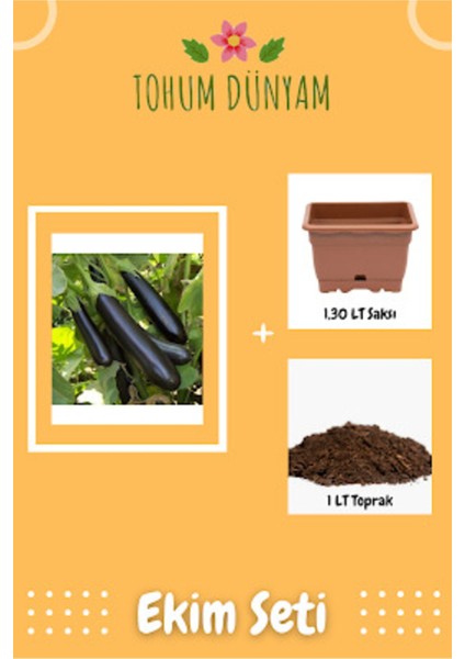 Az Çekirdekli Kemer Patlıcan Tohumu Ekim Seti