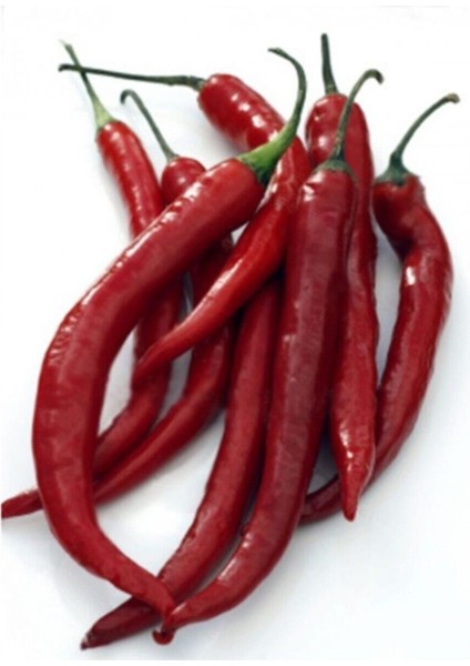 Uzun Kırmızı Cayanne Biber Tohumu