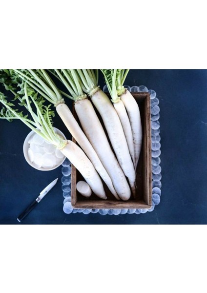 20 Adet Beyaz Japon Turpu Tohumu