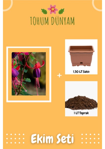 Küpe Çiçeği (Doğal Ev Bahçe Için Ideal) Tohumu Ekim Seti