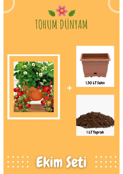 4 Mevsim, Yediveren Çilek Tohumu Ekim Seti