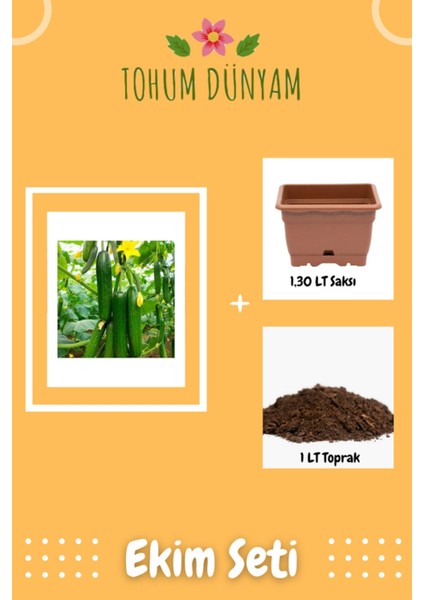 Ithal Erkenci Bol Verim Sırık Salatalık Tohumu Ekim Seti