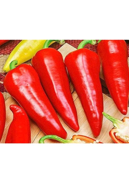 20 Adet Sakura Kırmızı Biber Tohumu