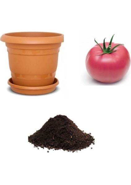 Nadir Dev Pembe Domates Tohumu Ekim Seti