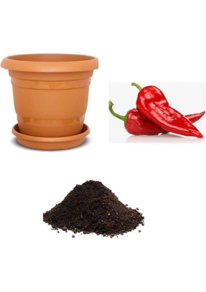 Acı Kırmızı Kapya Biberi Tohumu Ekim Seti