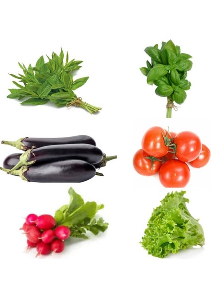 Tohum Seti, 6 Çeşit Sebze Tohumu (Nane, Fesleğen, Patlıcan, Domates, Turp, Marul) Tohumu