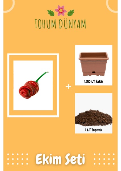 Nadir Ithal Kırmızı Acı Biber Tohumu Ekim Seti