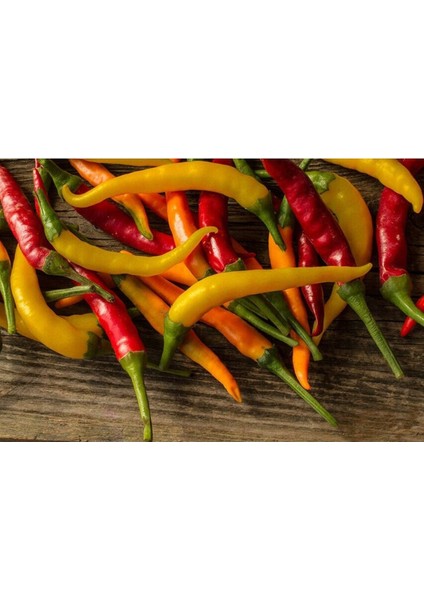 50 Adet Karışık Acı Biber Tohumu