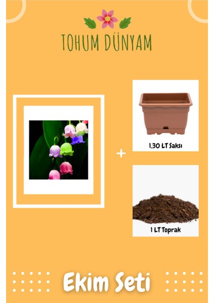 Nadir Çan Orkide Tohumu Ekim Seti